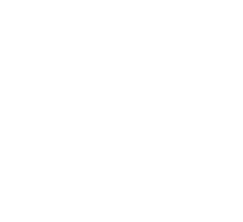 Southern Bred boxers